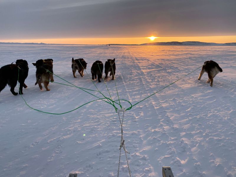 Dogsledding in Nunavut